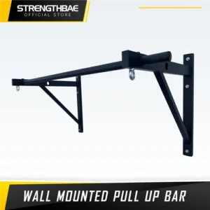 Wall Mounted Pull Up Bar