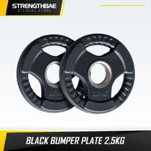 Rubber Plate 2,5kg