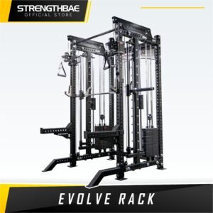 Evolve All in One Trainer